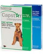 order capstar flea treatment