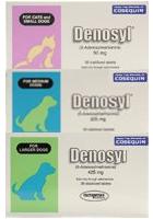 Denosyl For Dogs